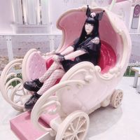 nyanell_