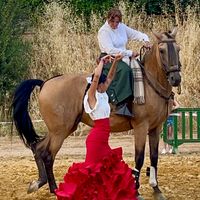 crisalvarez.horses
