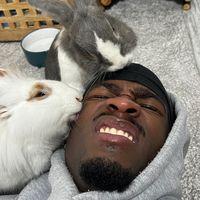mrphirii
