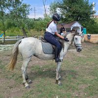 mariag.eq