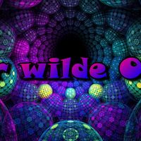 der.wilde.ossi