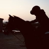 laceylodder_eventing