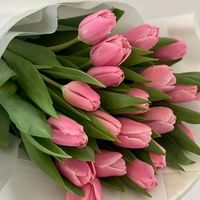 bb0626b