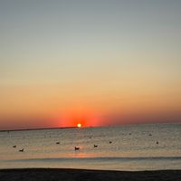 sunet original