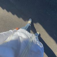 digitalbws