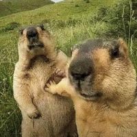alexander_47890