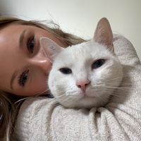 phoebecras