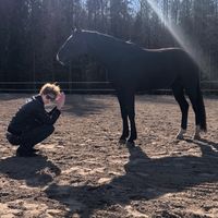 alkuperäinen ääni