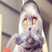 goonlordnauticathexviii