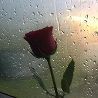 Saiyaraa...