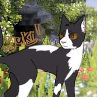 0_rayoflight_0