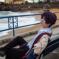 ficel_cos