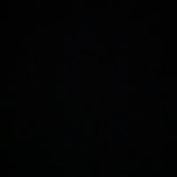 songvibes401