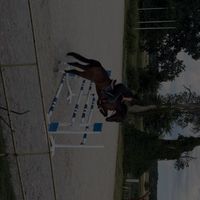 jagoda_equestrianlife
