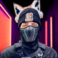 cs_desertfox