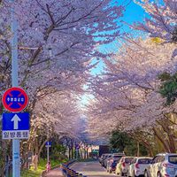 miwaako08