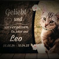 hei_ke3004