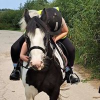 slwequestrian