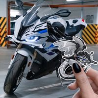 kiki.le_z_s1000r