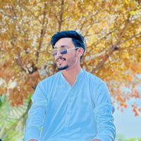 zeeshanansari4440