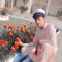 baghigroup997