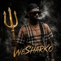 original sound - we.sharko