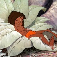 mowgli_13003
