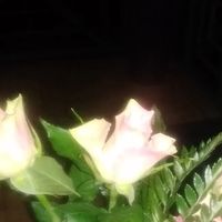 ___ssamanthaa___