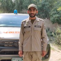 wildjatoi