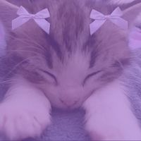 emilyblosoomlive