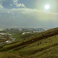baran_12.1