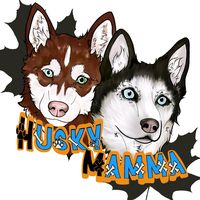 huskymamma