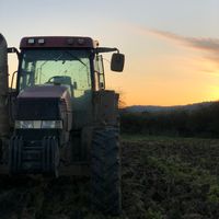 i6trw