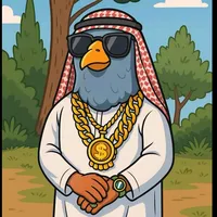 original sound - mr.pigeon.official