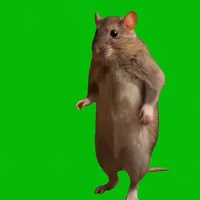 1 minute silent audio