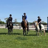 somerset.fools.on.horses