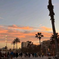 fionas_account007