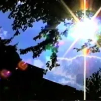 original sound - foxesinfields