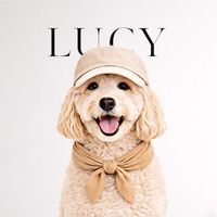 petsinart