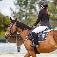 _equi__