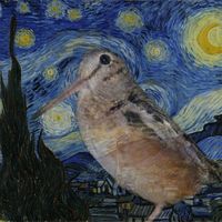 editorwoodcock