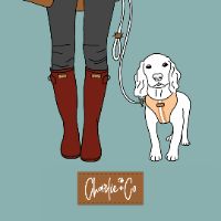 charlieandcosocial