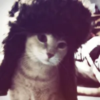 original sound - psycain