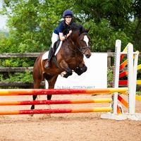 eefaequestrian0