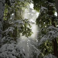 chillvibez02