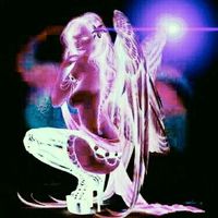 xo.z33_