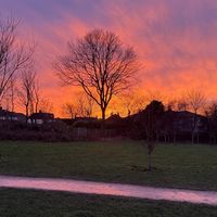 _smo_13