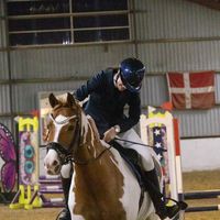 sofielshowjumper