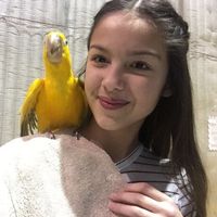 maialivie