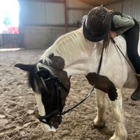roundknowe_farm_george